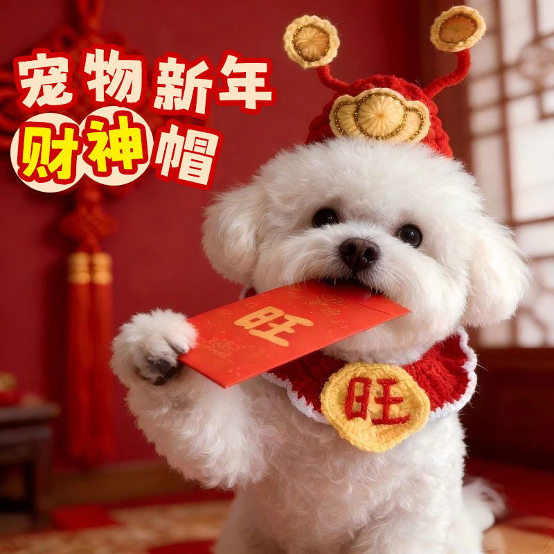 宠物财神帽猫咪狗狗红色毛绒帽拍照装饰保暖春节发财专用新年装扮,宠物/宠物食品及用品,猫宠物服装/雨衣（新）,淘宝优惠券,粉丝福利购,淘宝优惠卷