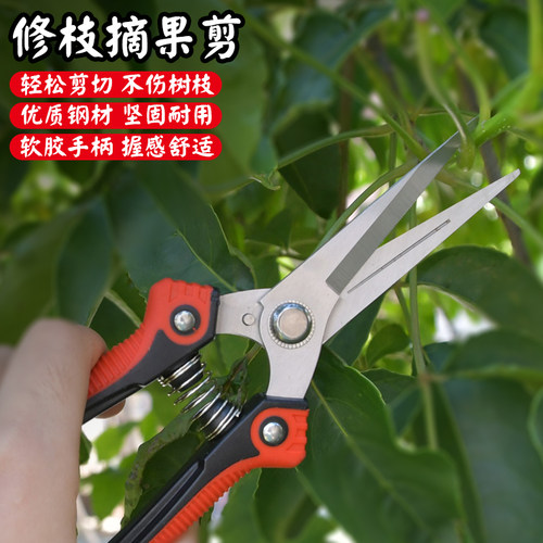 3cr13不锈钢锋利省力摘果剪优惠