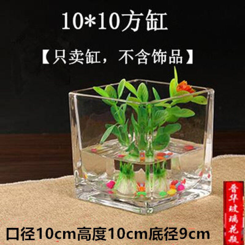 加厚玻璃花瓶长方形特大号花盆鱼缸水培水养植物器皿造景容器晗畅