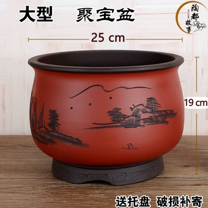 爵遇良品宜兴紫砂盆君子兰发财树花盆聚宝盆家用绿萝月季金钱树芦