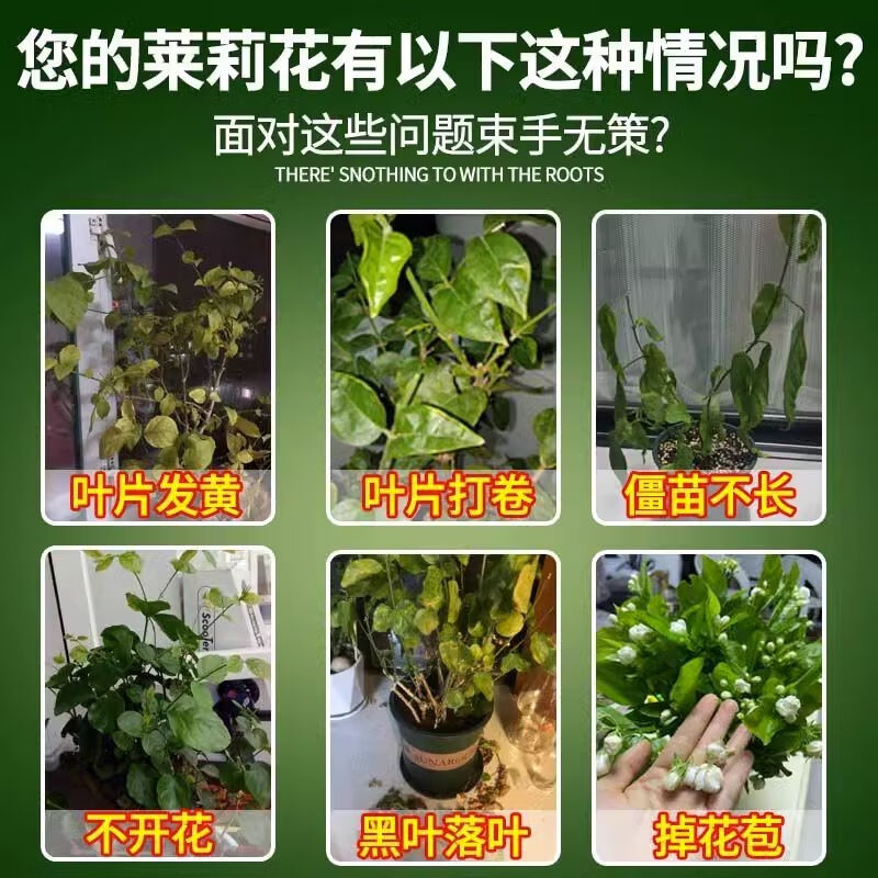 茉莉花专用营养液植物有机免稀释肥酸性家用氮磷钾养花肥料通用型