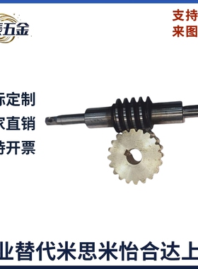 齿轮双导程蜗轮AGDL1.5-2-30-40-50-60-R1非标蜗轮蜗杆加工定制