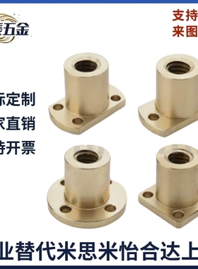 MTSGR MTSGL 10 12 14 16 18 20 22 25 28 32 36 40 50丝杆螺母