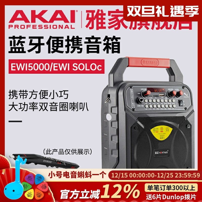 金正A1电吹管乐器专用音响户外广场舞便携式手提蓝牙迷你小音箱