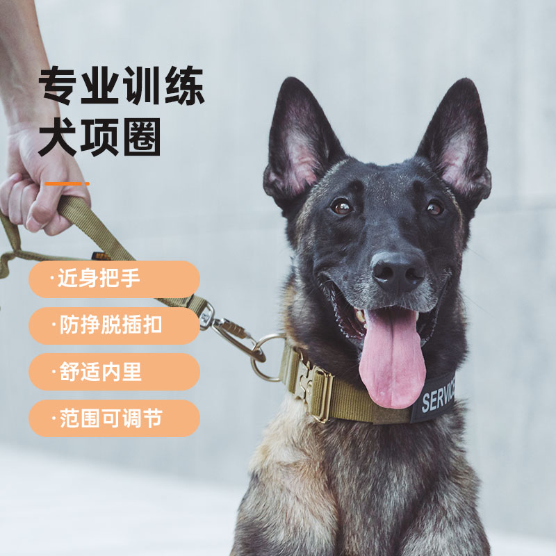 出众者狗脖圈大型犬牵引绳狗狗项圈拉布拉多金毛杜宾颈圈狗圈狗绳