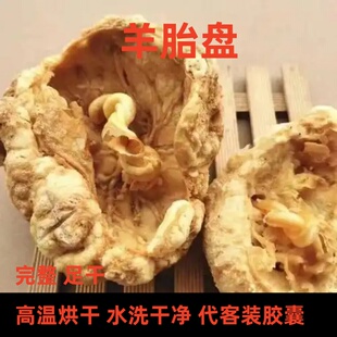 羊胎盘羊胎盘原材料羊胎盘中药材羊胎盘粉胶囊高温烘干整个羊胎素