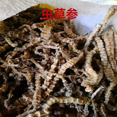 中药材地参新货干货虫草参野生云南500g无熏染散装地蚕子食用包邮