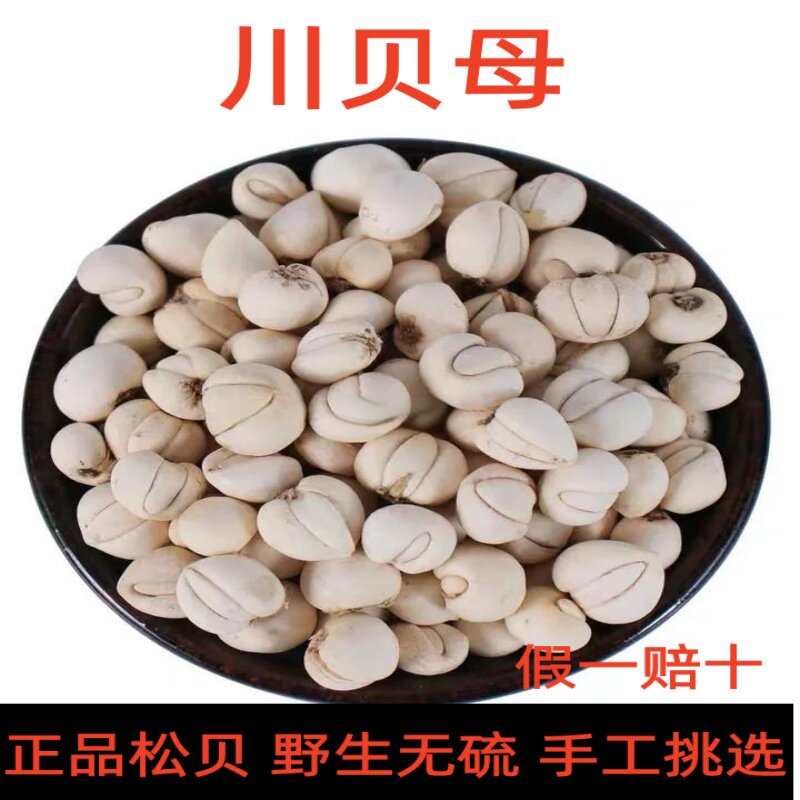 川贝松贝天然无硫阿坝州贝母正品