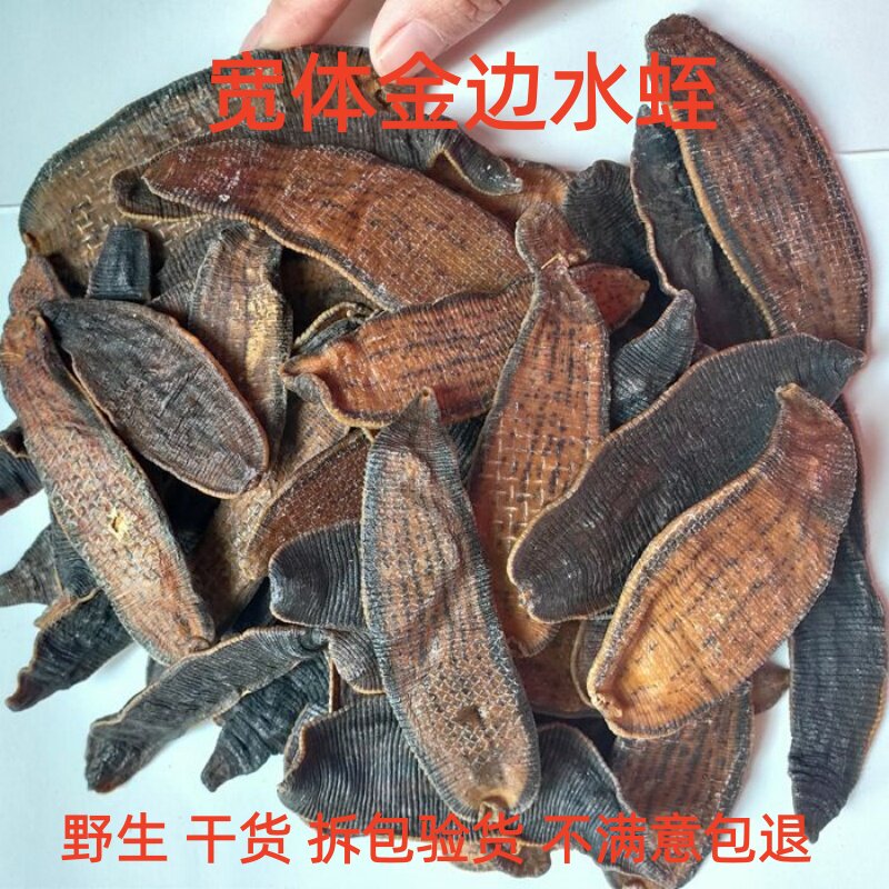 中药材水蛭金边水蛭蚂蟥野生特级宽体水蛭干货100克正品新货