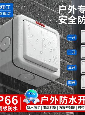 户外专用安全防水开关IP66暴雨级防水明装双控可湿手操作阻燃材质