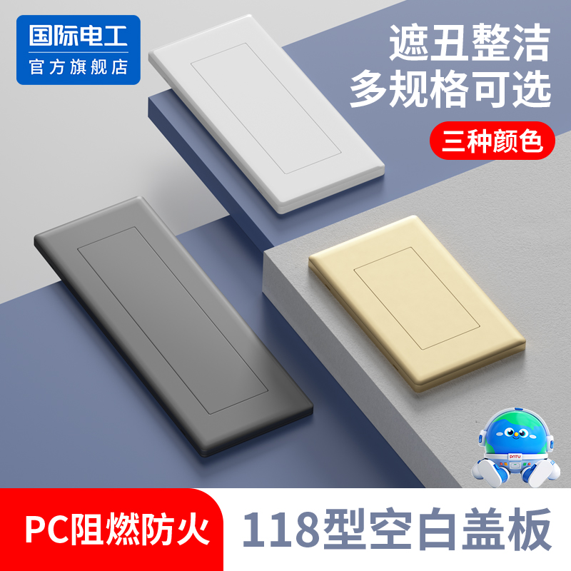 国际电工118型空白面板