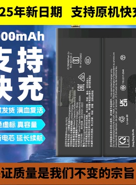 适用于oneplus 11电池一加1+11 1+12R手机电池BLP975 BLPA25电板