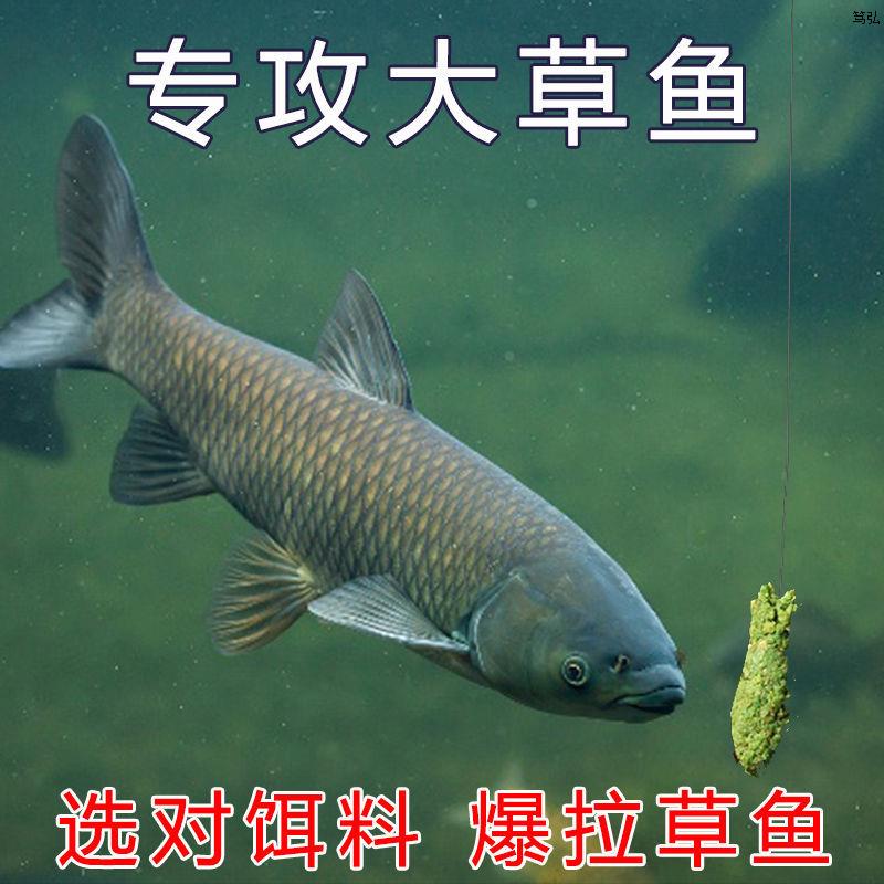 钓草鱼专用饵料野钓青草鱼专攻黑台钓饵