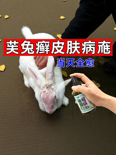 兔子皮肤病专用药兔癣真菌感染脚皮炎耳朵脱毛掉毛药杀菌特效喷雾
