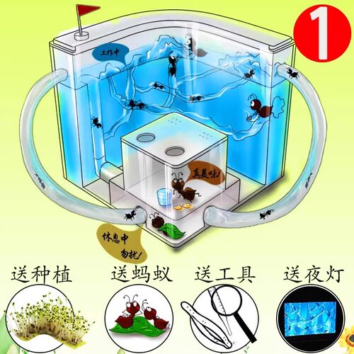 科学实验儿童套装生物玩具