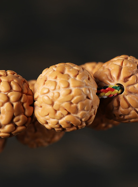 极速龙鳞纹小金刚菩提子手串108颗原桩男女O士印尼爆肉盘龙纹佛珠