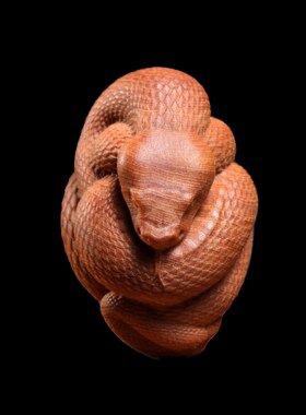 新品天然崖柏木雕刻可爱小蛇文玩手把件生肖蛇P寓意摆件创意招财