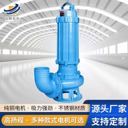 新品现货污泥回流泵提升泵 380vC工业管道排污泵 三相污水污物潜