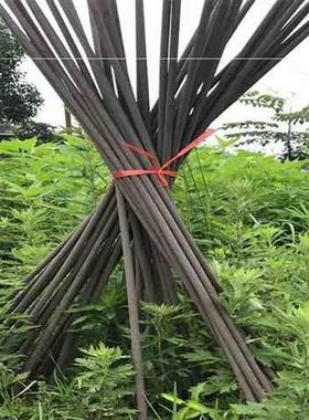 极速黑色畜牧蚊香兽用养殖场猪场驱蝇猪用艾草户R外灭蚊40根棒棒