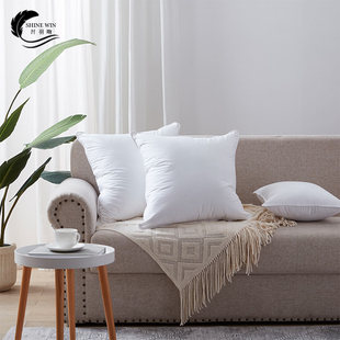 极速羽绒抱枕芯j白鹅毛靠垫芯沙发全棉护腰腰枕芯内胆定制靠枕床