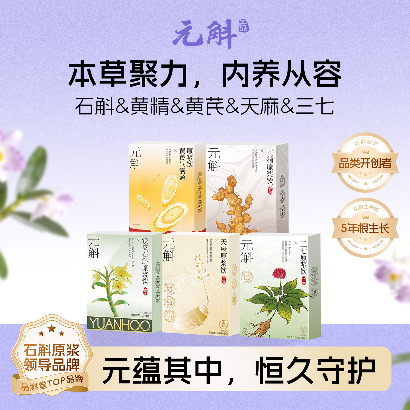 元斛官方正品铁皮石斛黄芪黄精天麻组合原浆健康养生年节送礼推荐