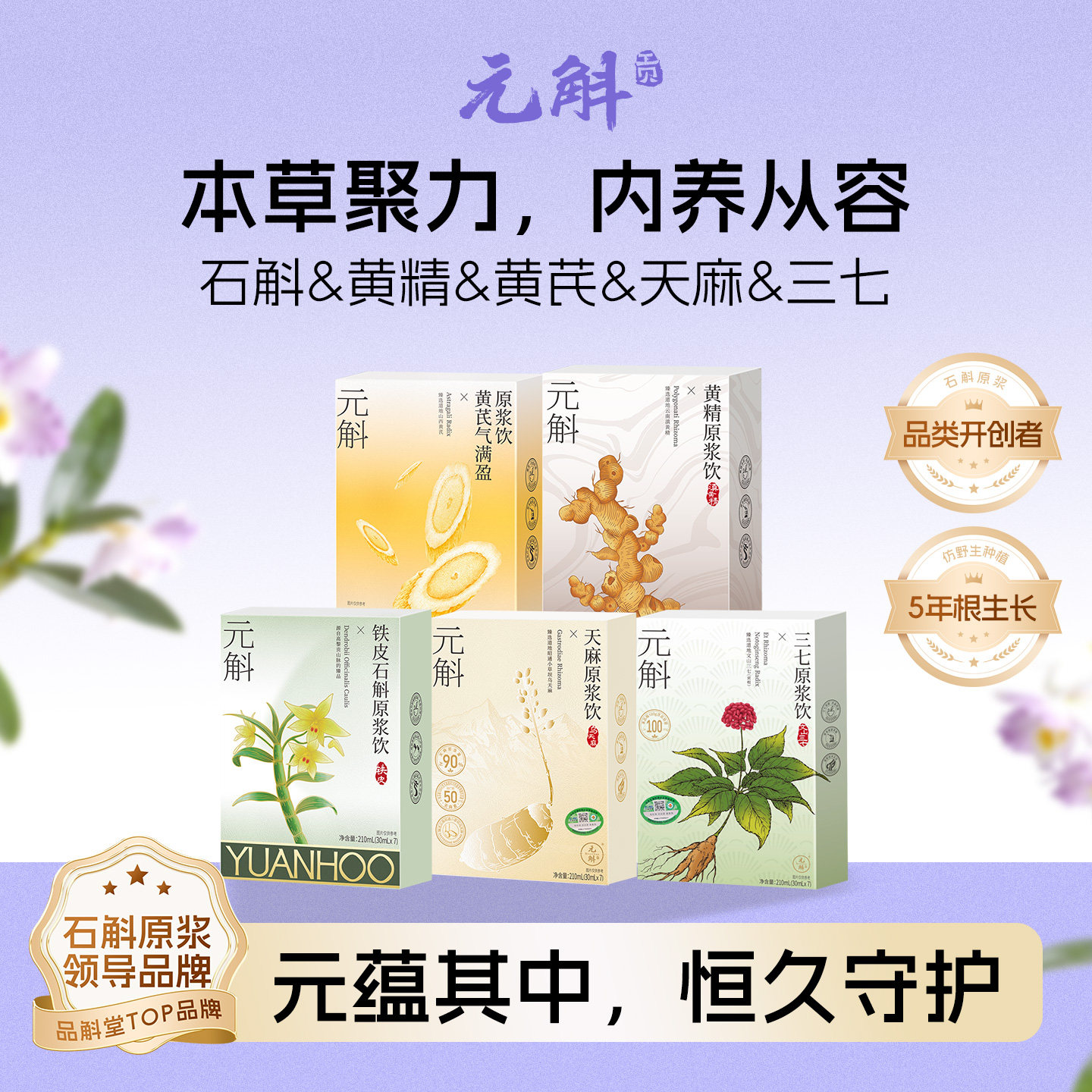 元斛官方正品铁皮石斛黄芪黄精天麻组合原浆健康养生年节送礼推荐