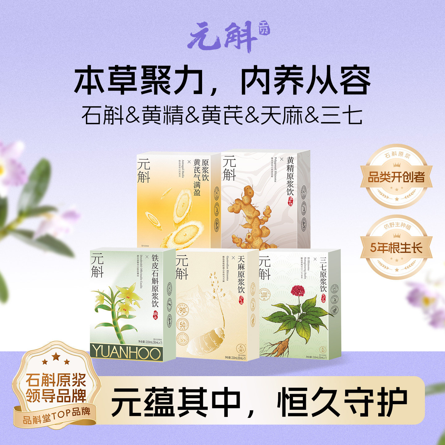 元斛官方正品铁皮石斛黄芪黄精天麻组合原浆健康养生年节送礼推荐