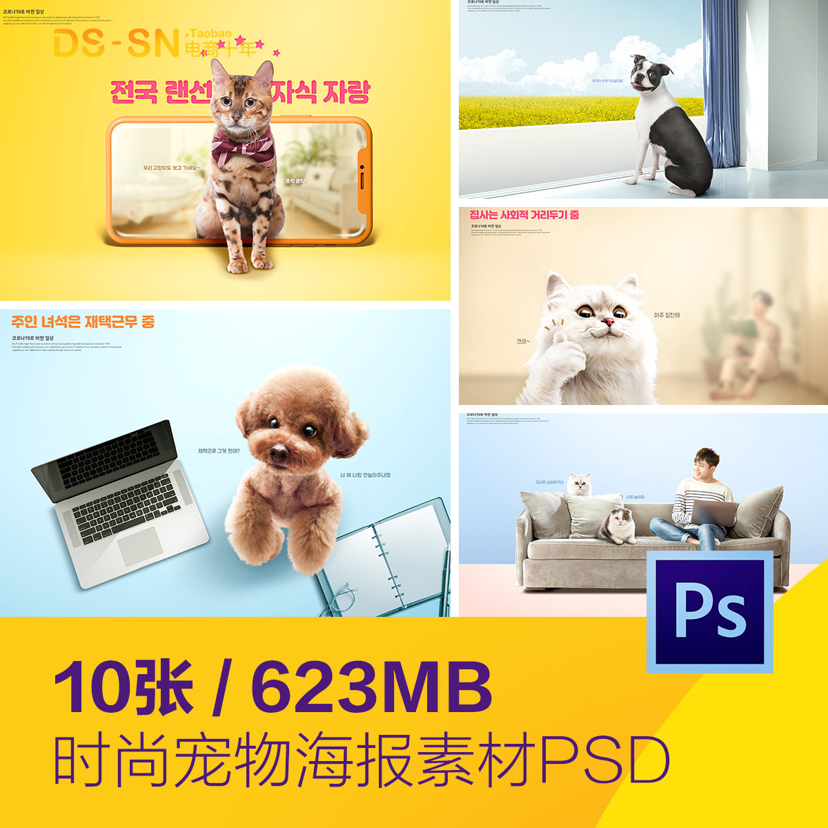 可爱宠物猫咪狗狗主人陪伴海报背景psd分层设计素材模板D2051905