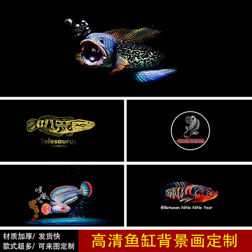鱼缸背景画纸高清定制雷龙鱼眼镜蛇巴卡亚马逊溪流缸水族造景图