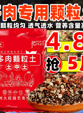 土中土多肉专用大包小苗批发
