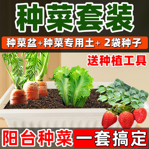 家庭阳台种菜专用土种菜套装