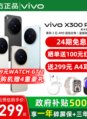 现货速发/24期免息 vivo X300 Pro 手机新品蔡司天玑旗舰芯拍照学生智能手机vivo官方旗舰店官网正品