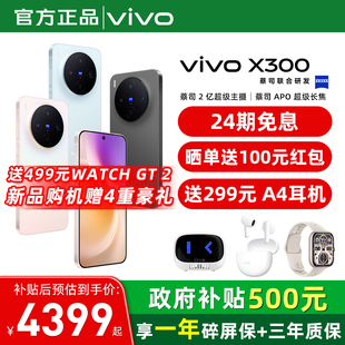X300 vivo 手机 新品 国家补贴 蔡司天玑旗舰芯拍照学生智能手机vivo官方旗舰店官网正品 至高立省500