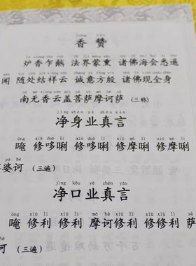 2025大乘离文字普光明藏经注音版简体弘化常诵佛经读诵本经书结缘