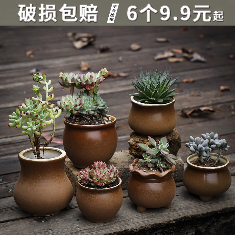 玉露专用盆多肉法师老桩花盆创意个性陶瓷玉坠群生多肉大口径.