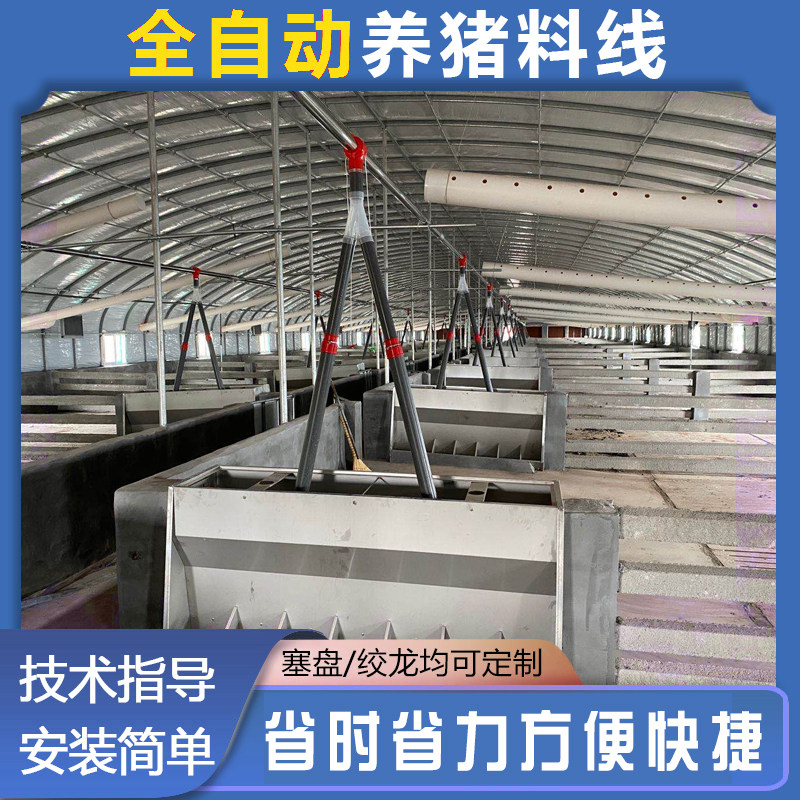 养猪场料线配件全套设计养殖场自动喂料设备料塔塞盘绞龙简易料线