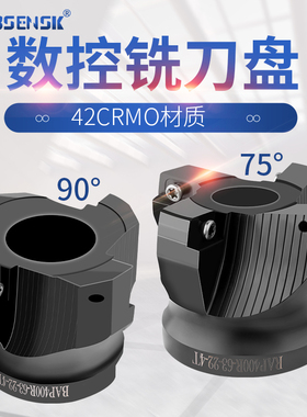 数控铣刀盘RAP75度90度BAP300R400R非标盘铣刀AP1604刀片开粗盘刀