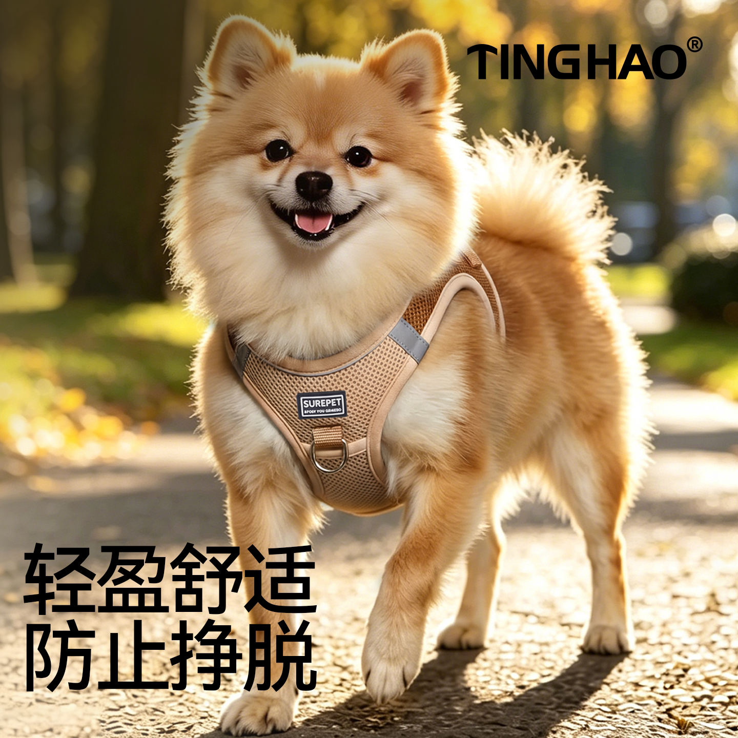 狗狗胸背背心式夏天透气泰迪中小型犬狗绳子宠物背带式遛狗牵引绳
