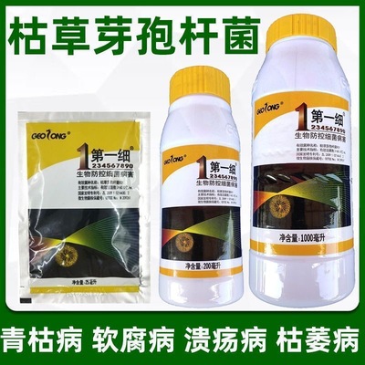 植物龙第一细枯草芽孢杆菌