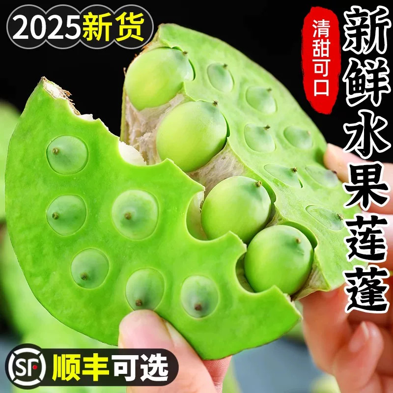 新鲜水果莲蓬3斤当季现摘湘莲生