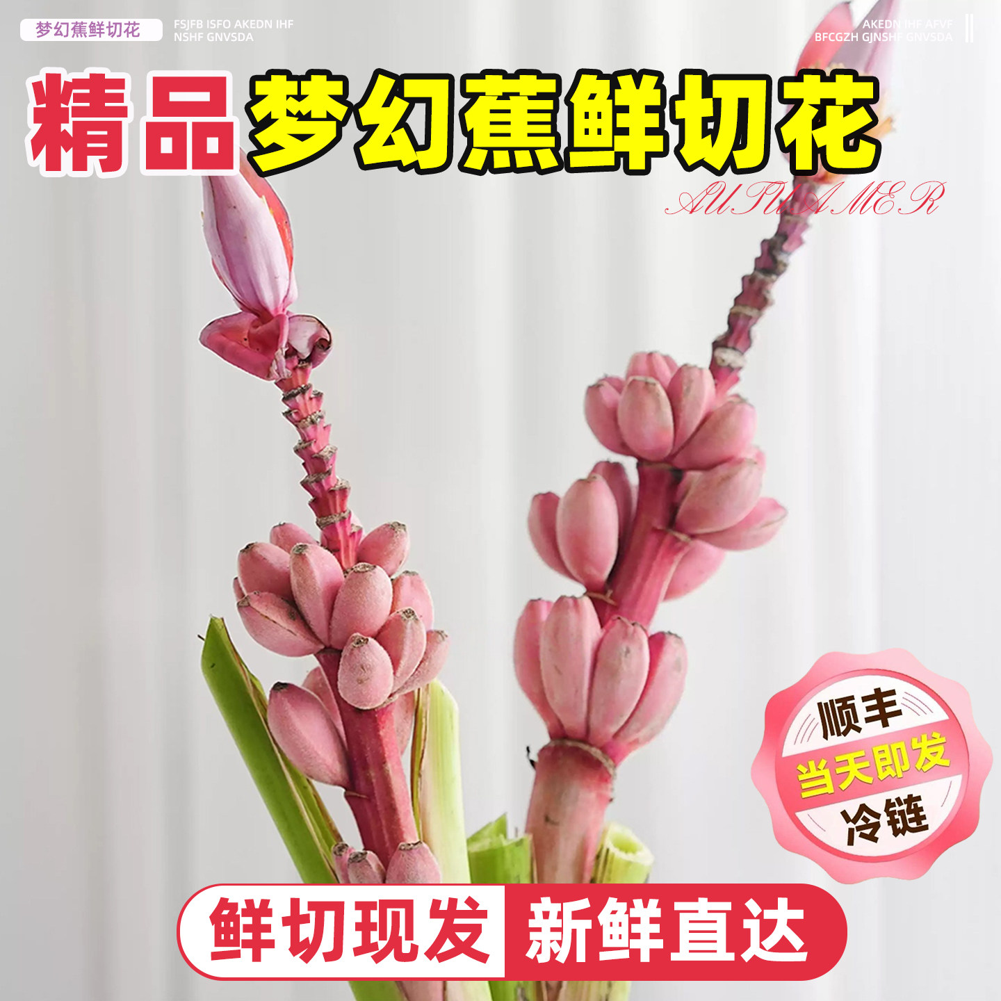 梦幻蕉鲜切花粉色香蕉花室内水培