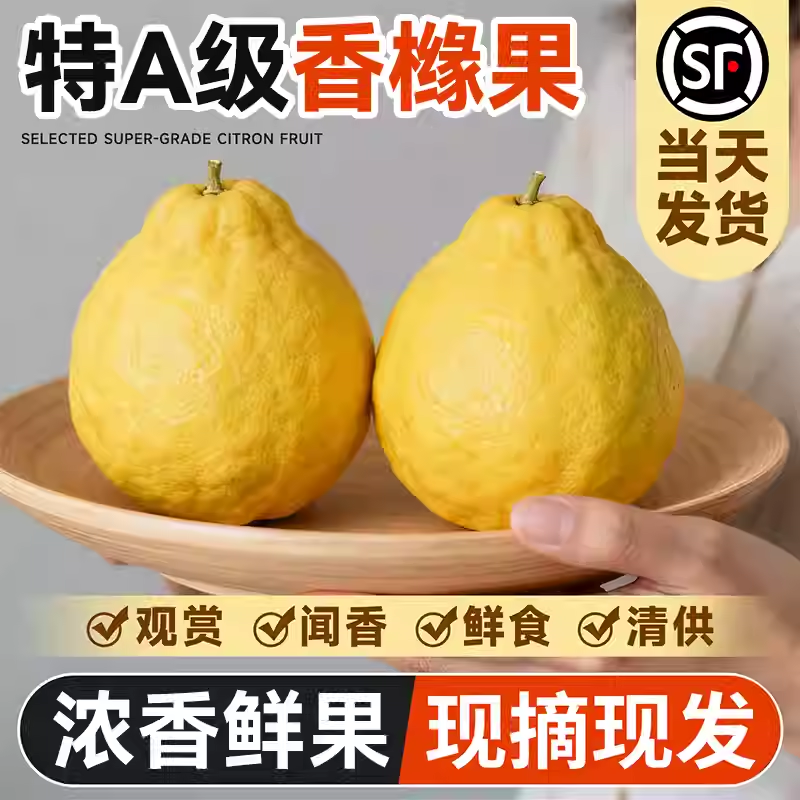 云南高山香橼果新鲜食用佛手柑水