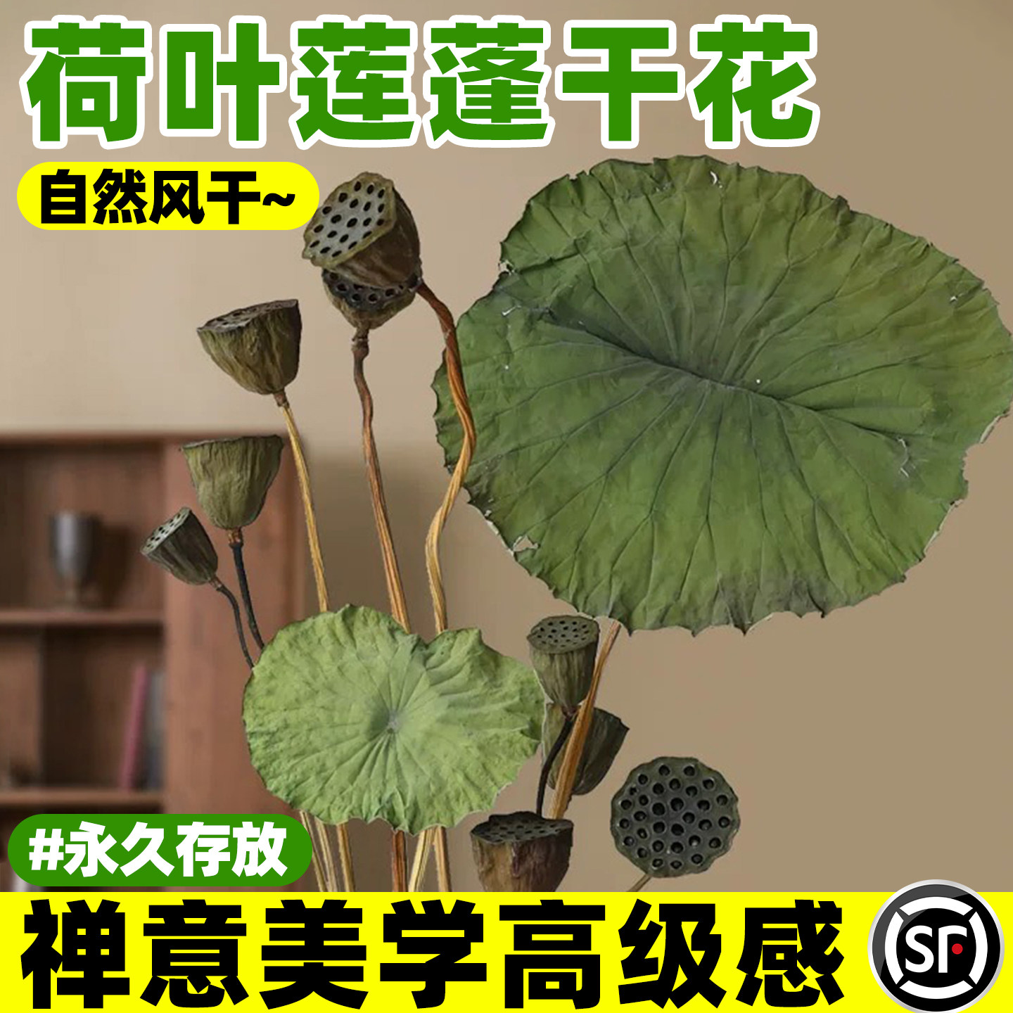 荷叶莲蓬干花花束客厅摆设天然风