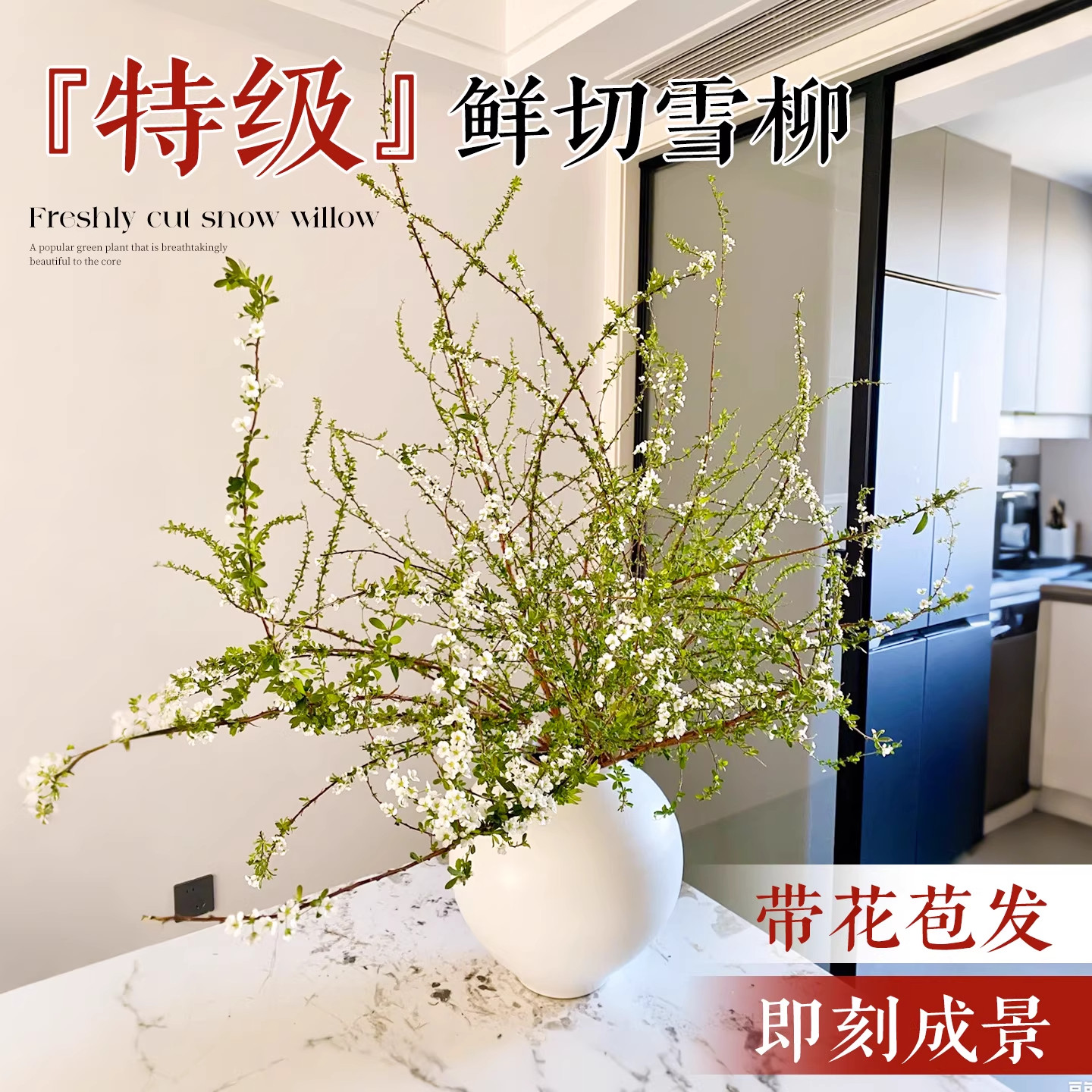 雪柳鲜枝带花苞水培绿植物干枝支