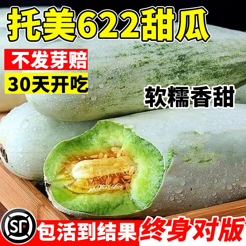 托美622甜瓜种子脆甜高产早熟抗病香瓜种籽羊角蜜牛角蜜甜瓜苗秧