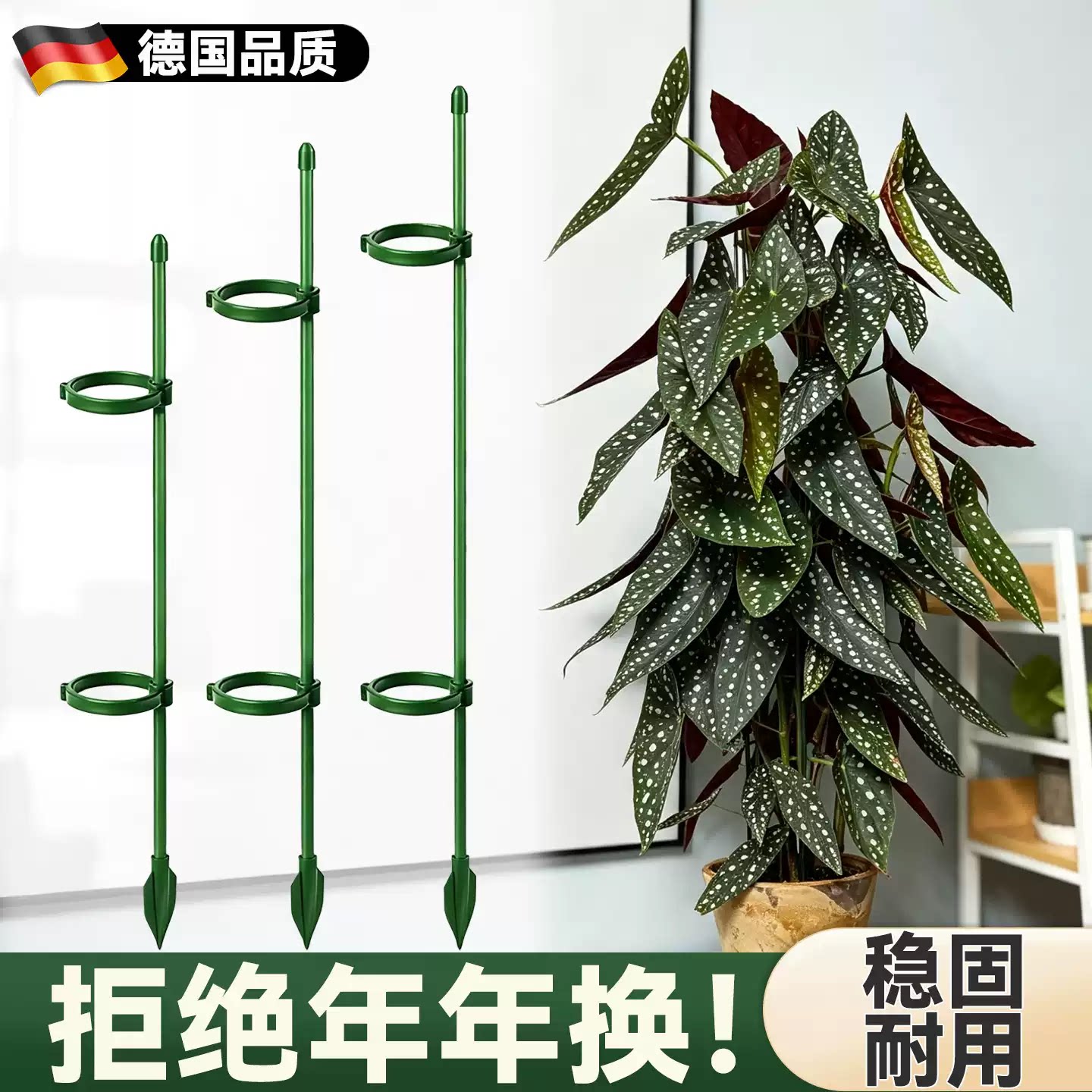 秋海棠支撑杆绿植花架固定花卉图片