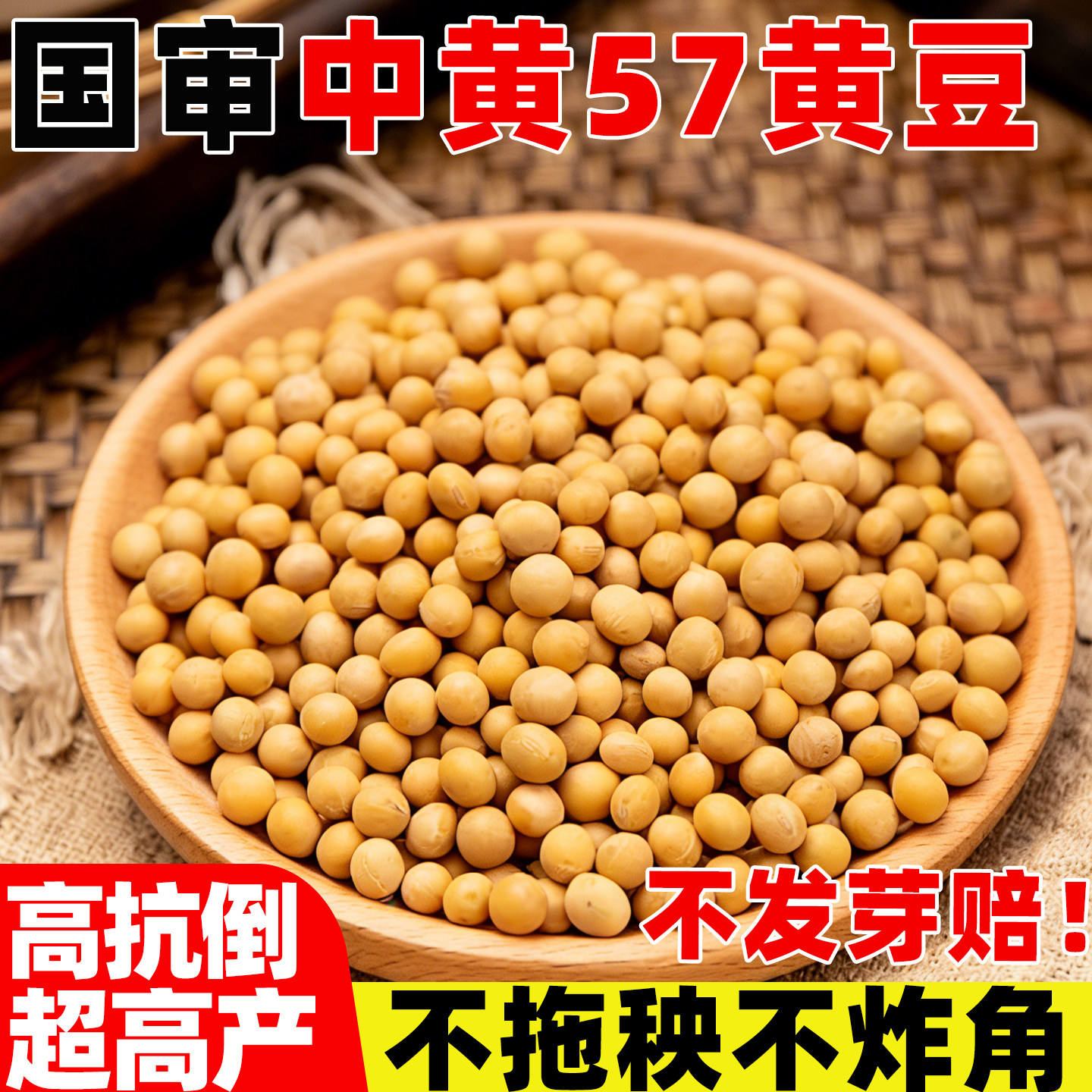 中黄57黄豆种子大豆种子高产黄豆种籽大粒抗病国产特大豆种孑基地 - 实物图