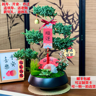 五层塔松盆栽新年礼祝寿送长辈送老师青松开业乔迁送领导顺丰包邮