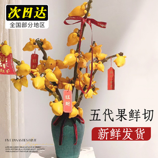 五代果鲜切五代同堂黄金果花束鲜花家用插花鲜切花真花绿植物花卉