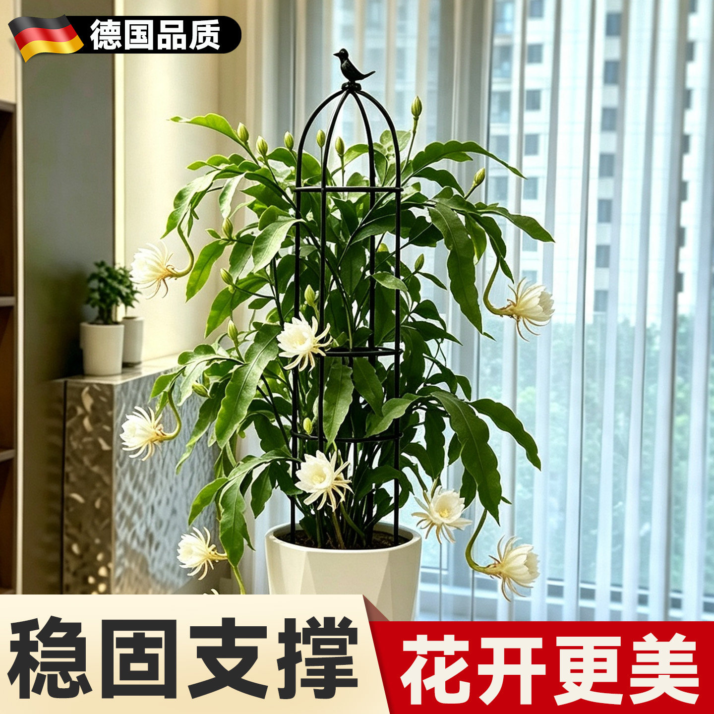 昙花专用支架爬藤花架花爬架植物支撑杆防倒伏固定户外盆栽支撑架